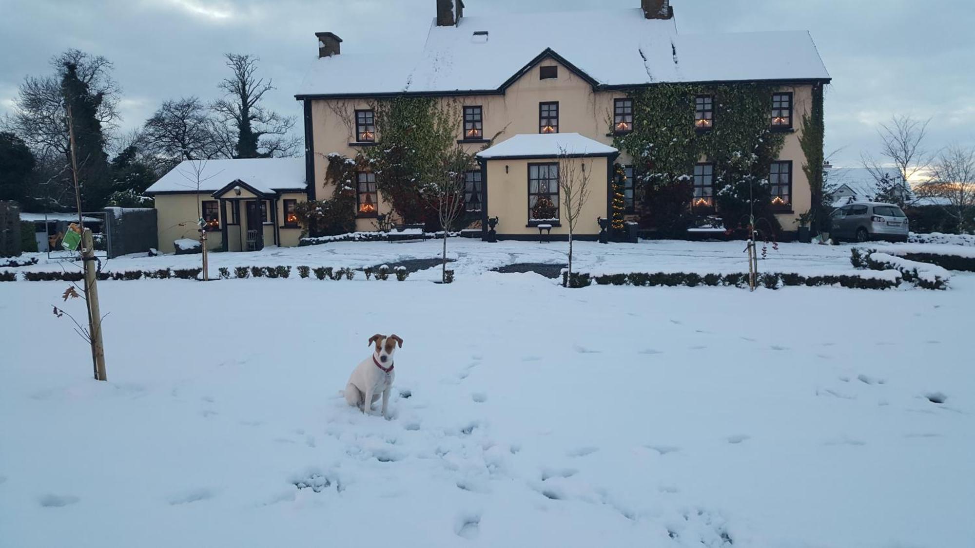 Bed & Breakfast Charlotte's Way Banagher